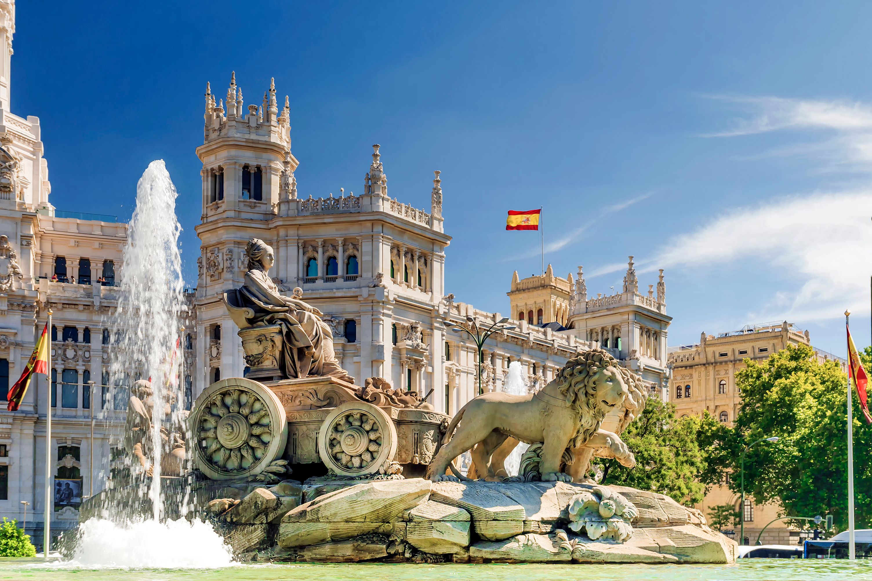 Spain BCIS Banner